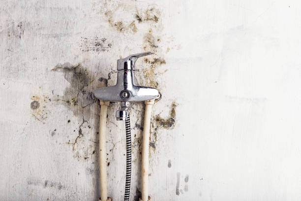 Mold Removal and Inspection in West View, PA
