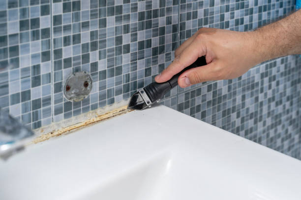 Best Commercial Mold Removal  in West View, PA