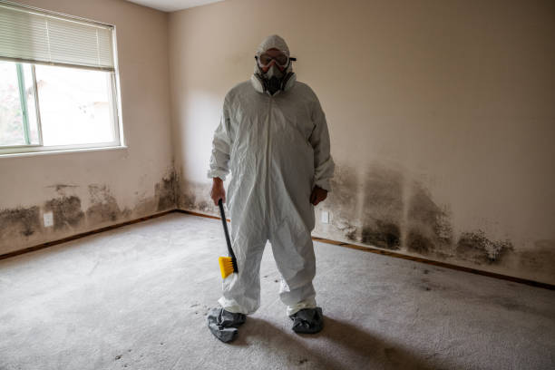 Best Crawl Space Mold Removal  in West View, PA